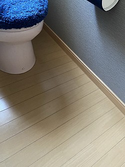 トイレ交換・床施行前